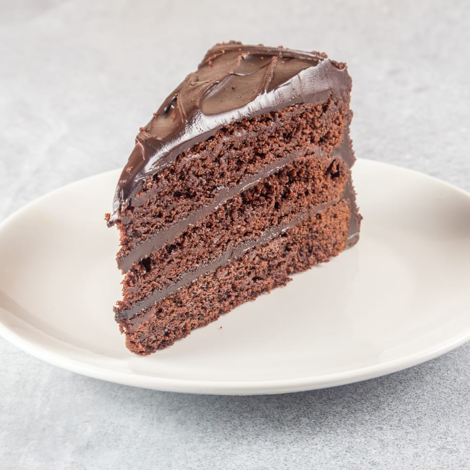 A rich, dark chocolate cake slice with thick frosting on a white plate.
